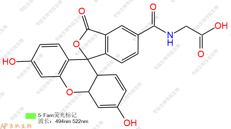 專肽生物產(chǎn)品5FAM-Gly-OH