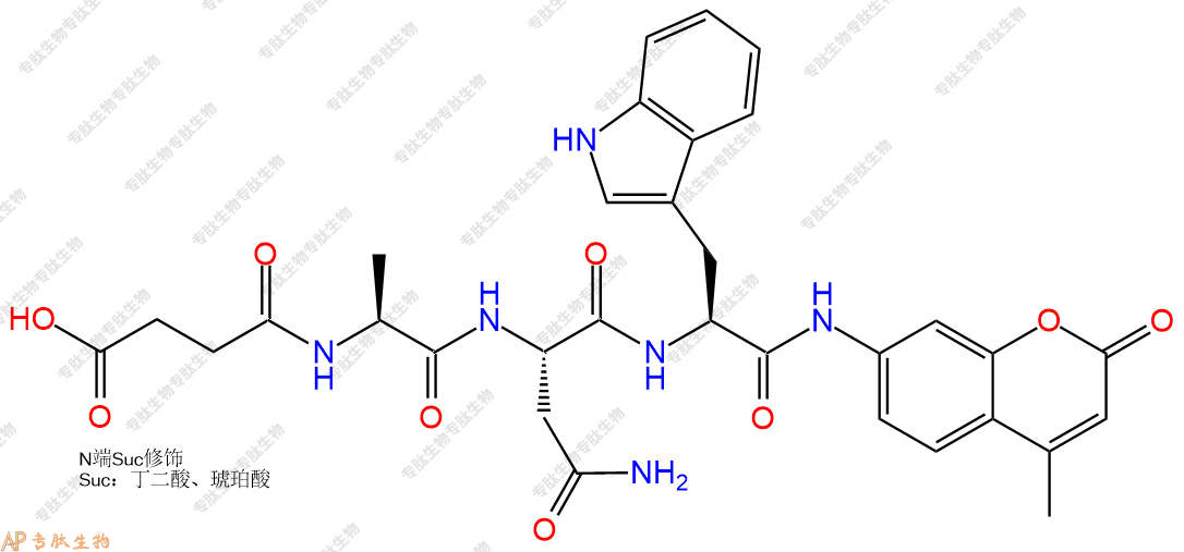 專肽生物產(chǎn)品Suc-Ala-Asn-Trp-AMC