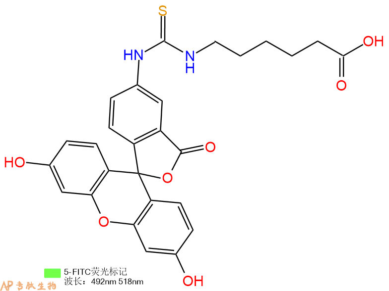 專肽生物產(chǎn)品5FITC-Ahx-OH