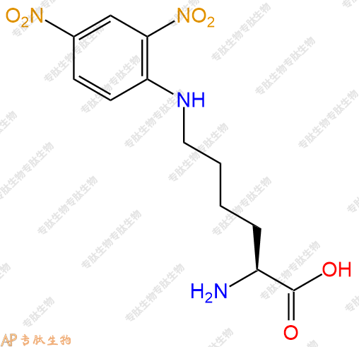 專肽生物產(chǎn)品H2N-Lys(Dnp)-OH