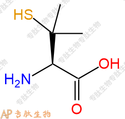 專肽生物產(chǎn)品H2N-Pen-OH