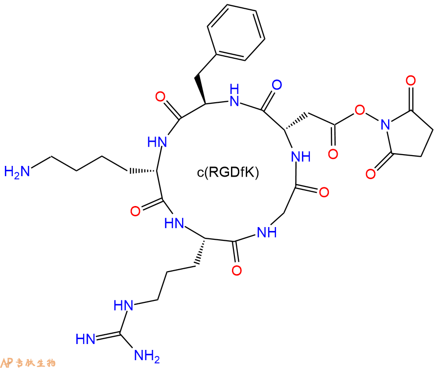 專肽生物產(chǎn)品活化酯形式的c(RGDfK)環(huán)肽：c(RGDfK)-NHS、NHS-c(RGDfK)