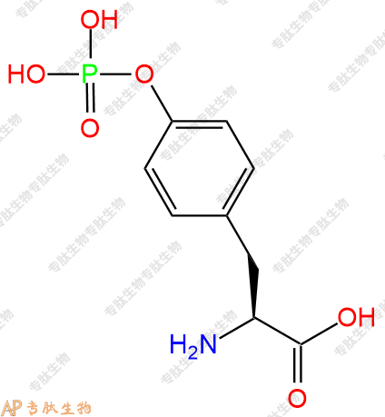 專肽生物產(chǎn)品H2N-Tyr(PO3H2)-OH