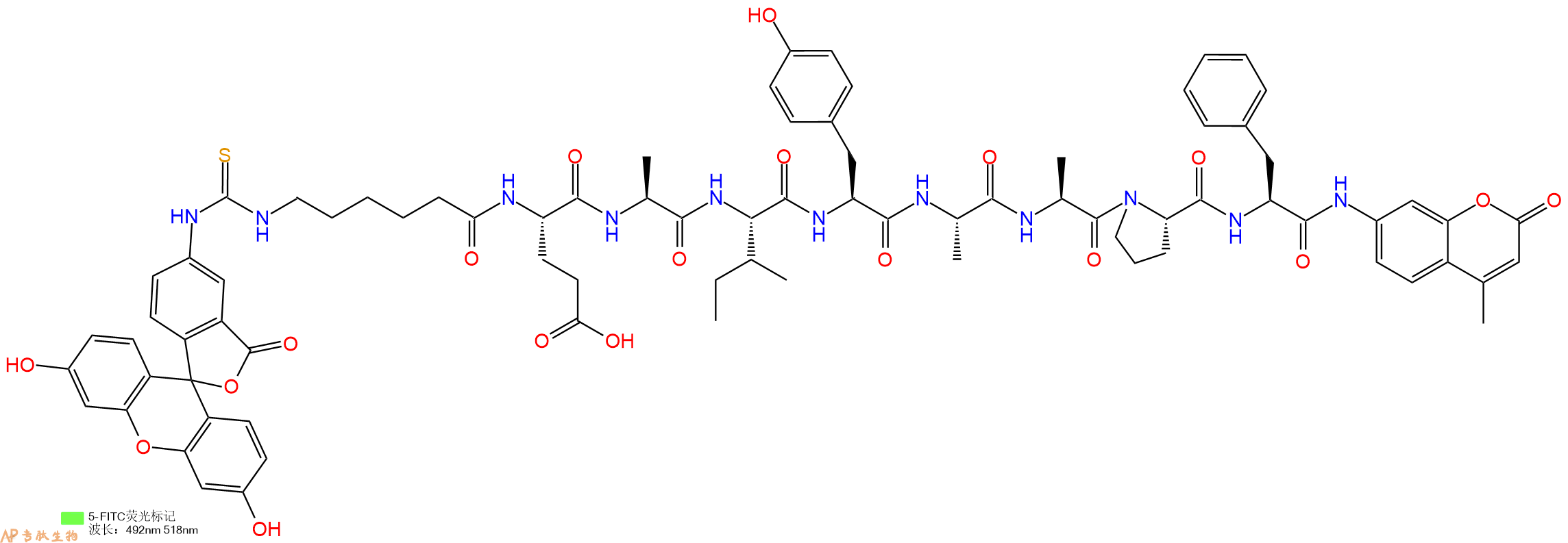 專肽生物產(chǎn)品5FITC-Ahx-Glu-Ala-Ile-Tyr-Ala-Ala-Pro-Phe-AMC