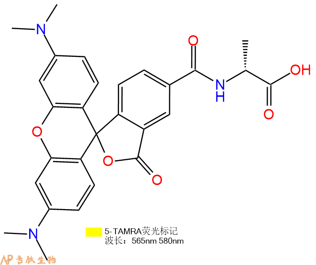 專(zhuān)肽生物產(chǎn)品5TAMRA-DAla-OH