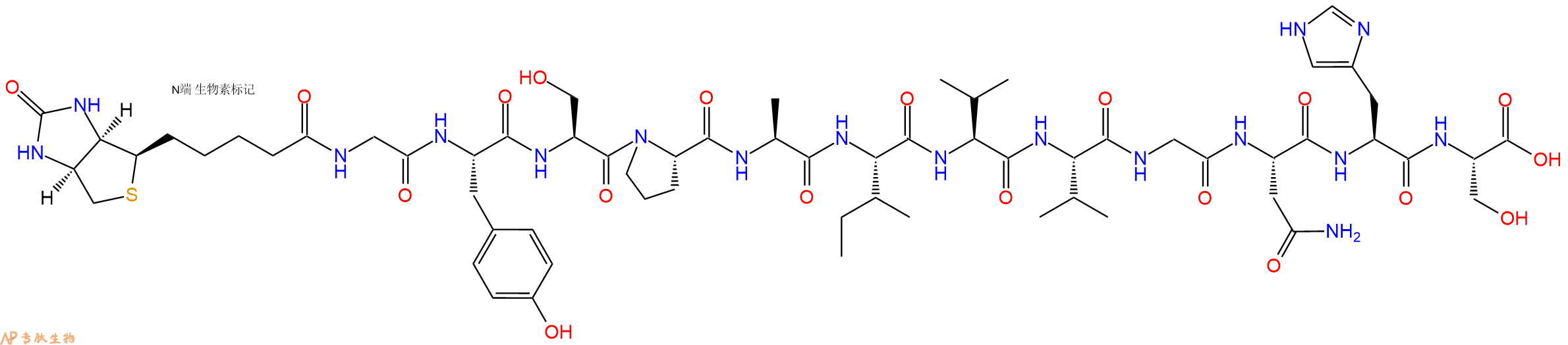 專肽生物產(chǎn)品Biotinyl-Gly-Tyr-Ser-Pro-Ala-Ile-Val-Val-Gly-Asn-His-Ser-OH