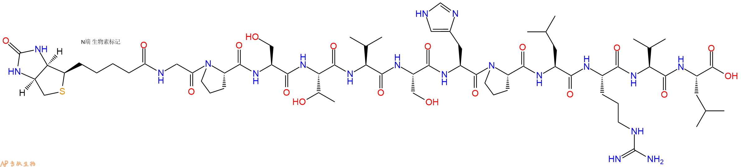 專肽生物產(chǎn)品Biotinyl-Gly-Pro-Ser-Thr-Val-Ser-His-Pro-Leu-Arg-Val-Leu-OH