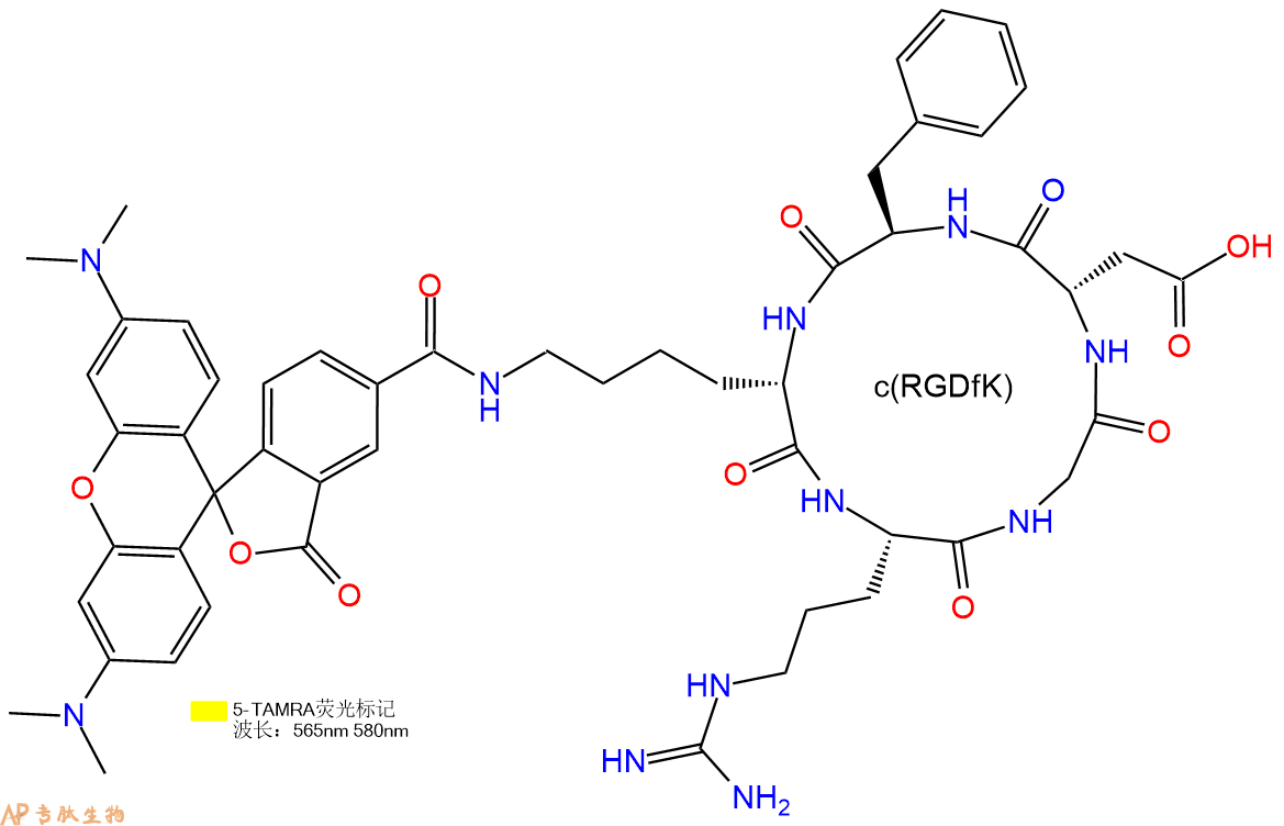 專肽生物產(chǎn)品5TAMRA-c(RGDfK)、5TAMRA-cyclo(RGDfK)