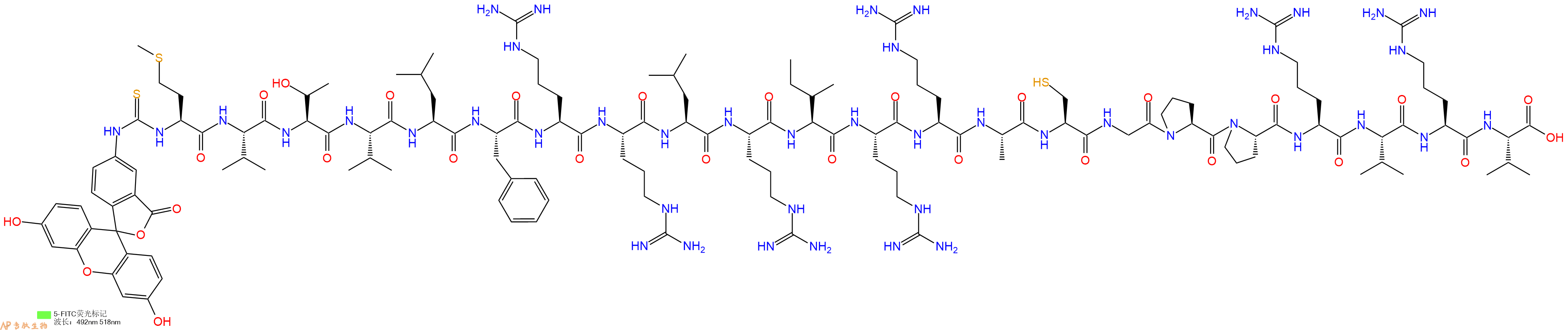 專肽生物產(chǎn)品5FITC-Met-Val-Thr-Val-Leu-Phe-Arg-Arg-Leu-Arg-Ile-Arg-Arg-Ala-Cys-Gly-Pro-Pro-Arg-Val-Arg-Val-OH