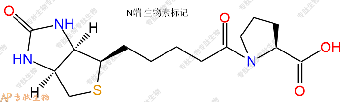 專肽生物產(chǎn)品Biotinyl-Pro-OH