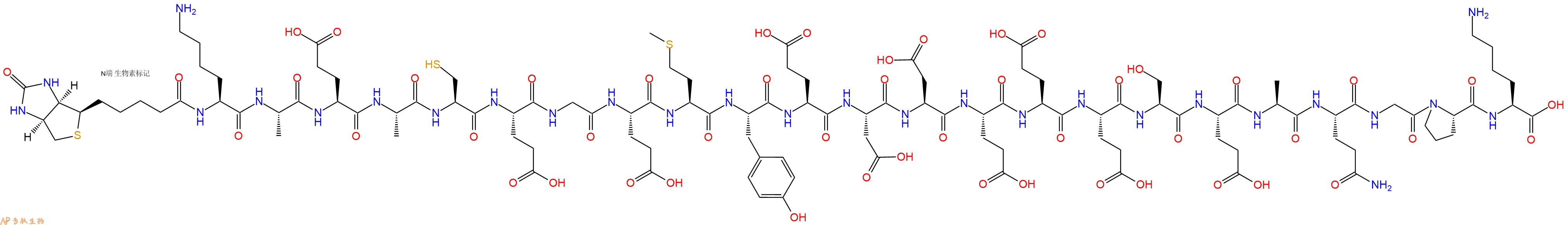 專肽生物產(chǎn)品Biotinyl-Lys-Ala-Glu-Ala-Cys-Glu-Gly-Glu-Met-Tyr-Glu-Asp-Asp-Glu-Glu-Glu-Ser-Glu-Ala-Gln-Gly-Pro-Lys-OH