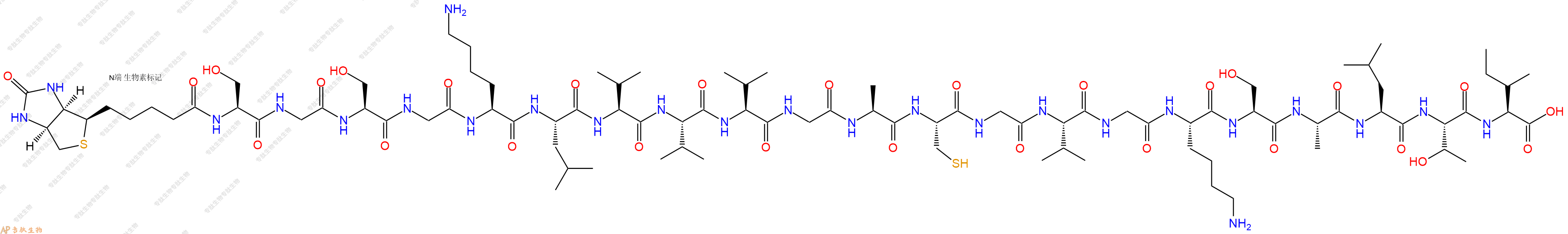 專肽生物產(chǎn)品Biotinyl-Ser-Gly-Ser-Gly-Lys-Leu-Val-Val-Val-Gly-Ala-Cys-Gly-Val-Gly-Lys-Ser-Ala-Leu-Thr-Ile-OH