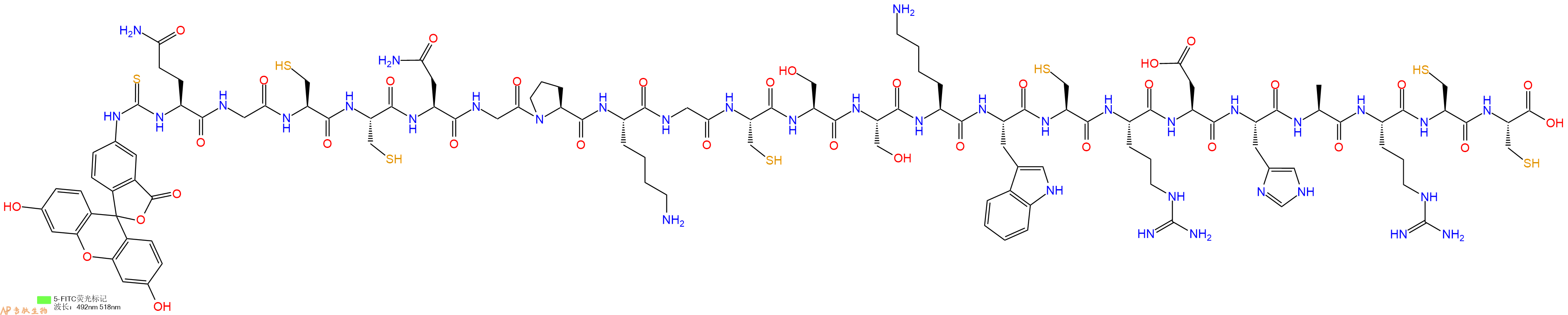 專肽生物產(chǎn)品5FITC-Gln-Gly-Cys-Cys-Asn-Gly-Pro-Lys-Gly-Cys-Ser-Ser-Lys-Trp-Cys-Arg-Asp-His-Ala-Arg-Cys-Cys-OH