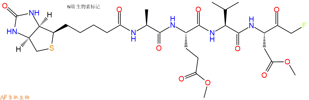 專肽生物產(chǎn)品Biotin-AEVD-FMK