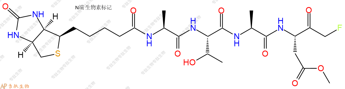 專肽生物產(chǎn)品Biotin-ATAD-FMK