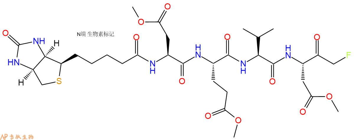 專肽生物產(chǎn)品Biotin-DEVD-FMK