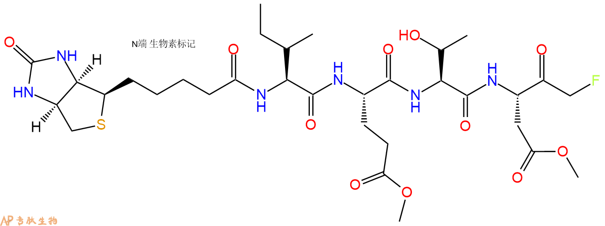 專肽生物產(chǎn)品Biotin-IETD-FMK