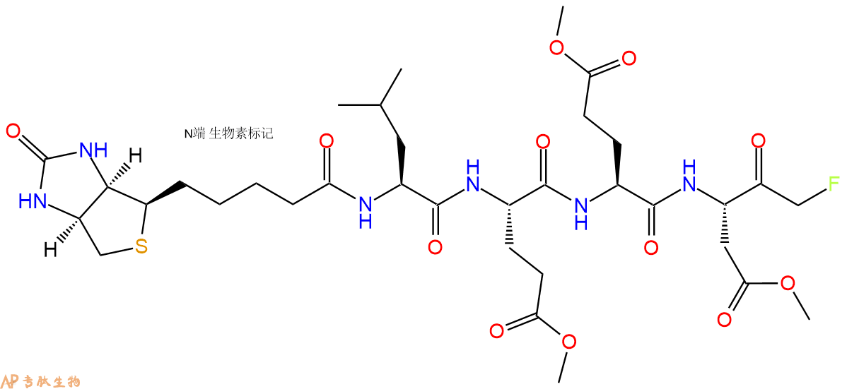 專肽生物產(chǎn)品Biotin-LEED-FMK