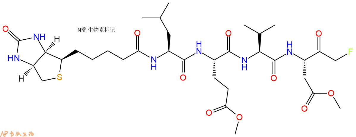 專肽生物產(chǎn)品Biotin-LEVD-FMK