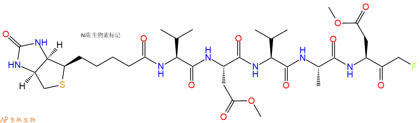 專肽生物產(chǎn)品Biotin-VDVAD-FMK