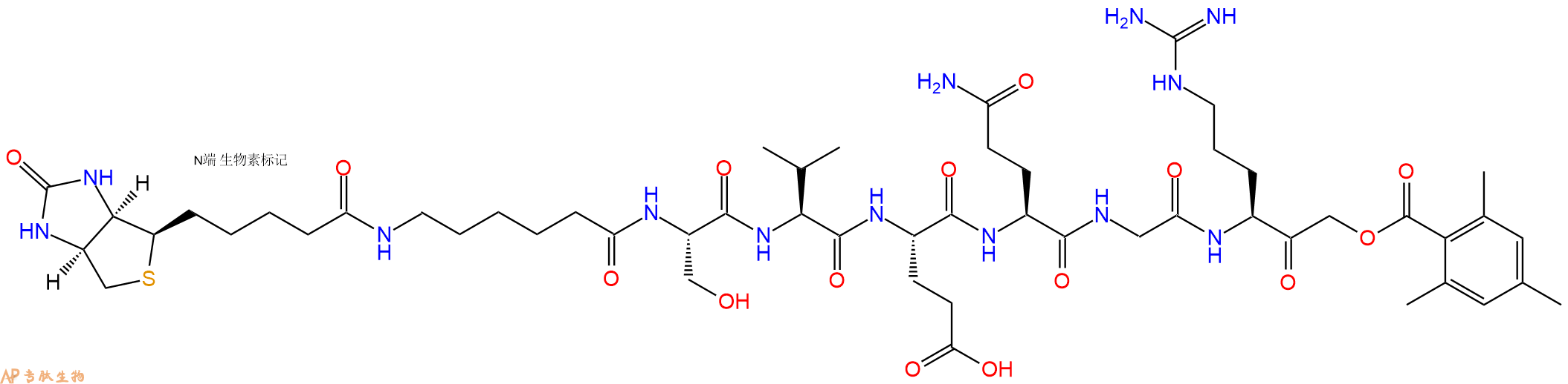 專肽生物產(chǎn)品Biotinyl-εAhx-SCC1 (263-268)-2,4,6-trimethylbenzoyloxy-methylketone (S. cerevisiae)455951-99-2