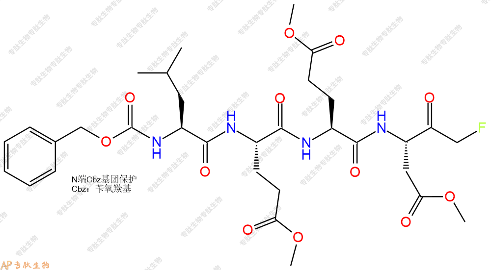 專肽生物產(chǎn)品Caspase-13 Inhibitor Z-LEED-FMK