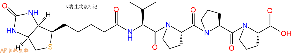 專肽生物產(chǎn)品Biotinyl-Val-Pro-Pro-Pro-OH