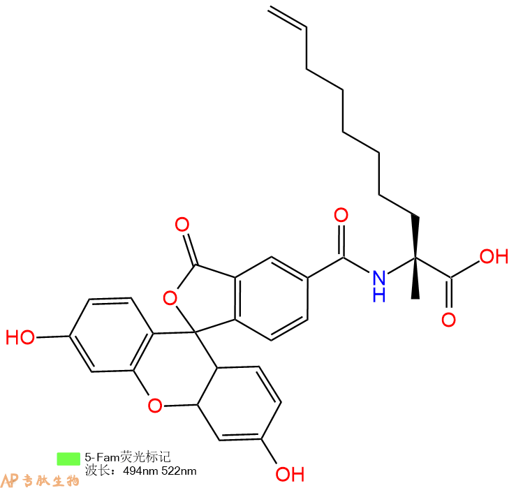 專肽生物產(chǎn)品5FAM-R8-OH