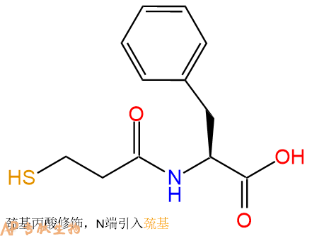 專(zhuān)肽生物產(chǎn)品Mpa-Phe-OH