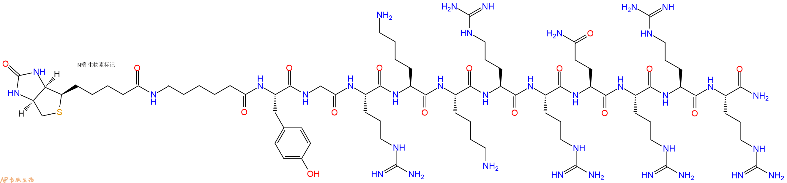 專(zhuān)肽生物產(chǎn)品Biotinyl-Ahx-Tyr-Gly-Arg-Lys-Lys-Arg-Arg-Gln-Arg-Arg-Arg-NH2