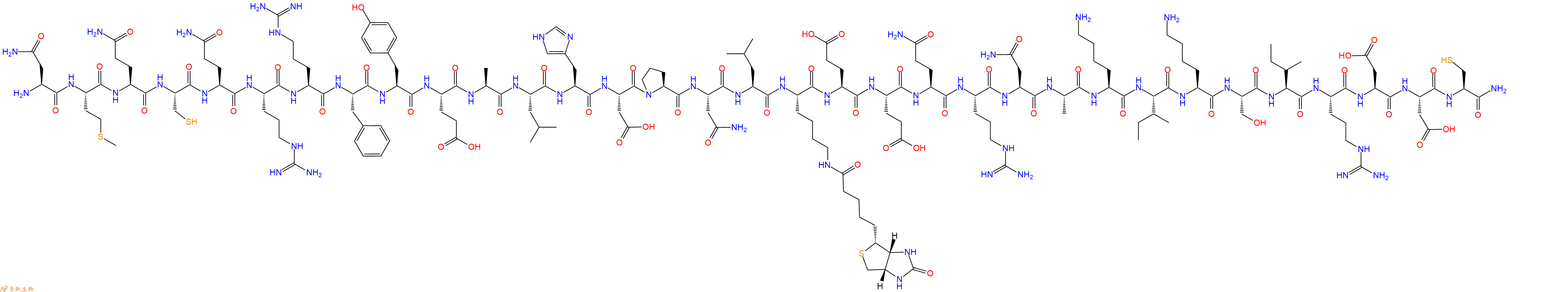 專肽生物產品H2N-Asn-Met-Gln-Cys-Gln-Arg-Arg-Phe-Tyr-Glu-Ala-Leu-His-Asp-Pro-Asn-Leu-Lys(Biotin)-Glu-Glu-Gln-Arg-Asn-Ala-Lys-Ile-Lys-Ser-Ile-Arg-Asp-Asp-Cys-NH2