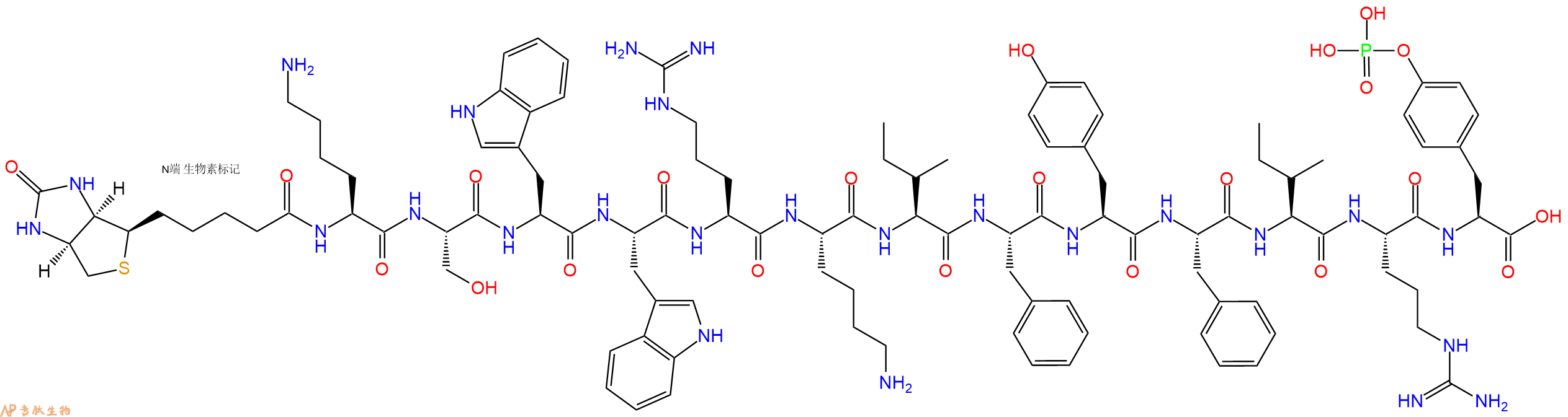 專(zhuān)肽生物產(chǎn)品Biotinyl-Lys-Ser-Trp-Trp-Arg-Lys-Ile-Phe-Tyr-Phe-Ile-Arg-Tyr(PO3H2)-OH