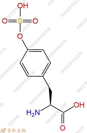 專肽生物產(chǎn)品H2N-Tyr(SO3H)-OH