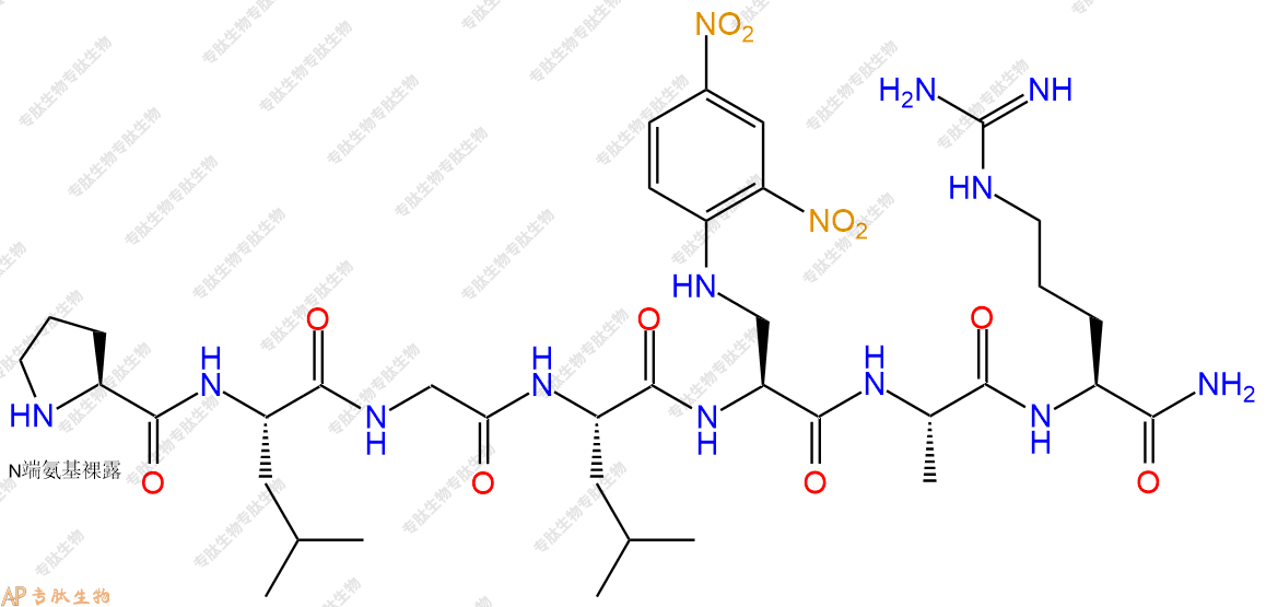 專肽生物產(chǎn)品H2N-Pro-Leu-Gly-Leu-Dap(Dnp)-Ala-Arg-NH2