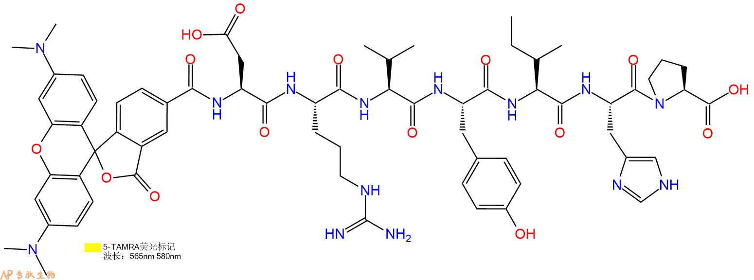 專肽生物產(chǎn)品5-Tamra-DRVYIHP