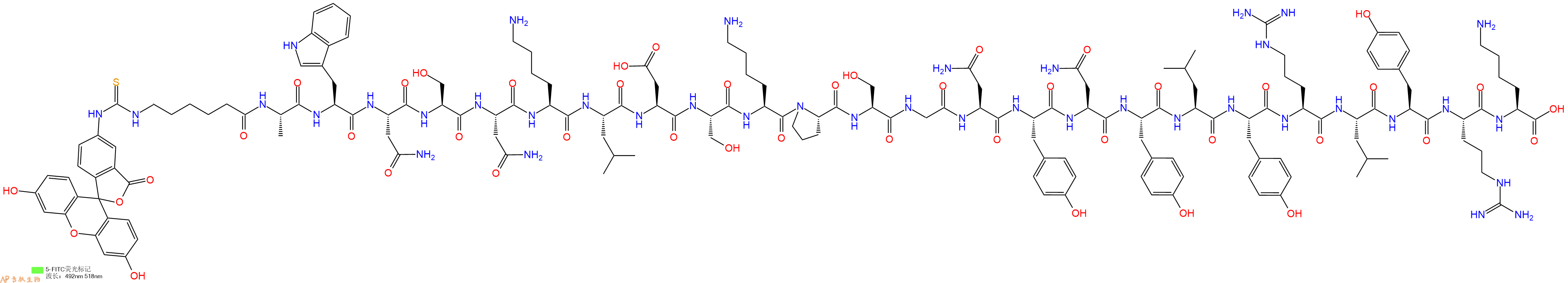 專肽生物產(chǎn)品5FITC-Ahx-Ala-Trp-Asn-Ser-Asn-Lys-Leu-Asp-Ser-Lys-Pro-Ser-Gly-Asn-Tyr-Asn-Tyr-Leu-Tyr-Arg-Leu-Tyr-Arg-Lys-OH