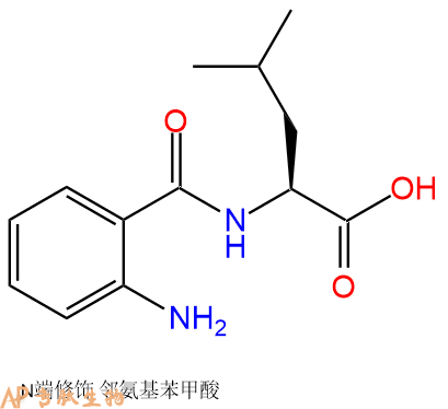 專(zhuān)肽生物產(chǎn)品Abz-Leu-OH