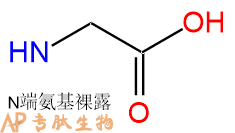 專肽生物產(chǎn)品H2N-OGly-OH