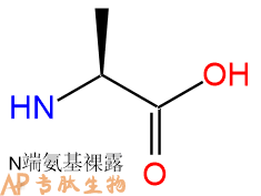 專肽生物產(chǎn)品H2N-OAla-OH