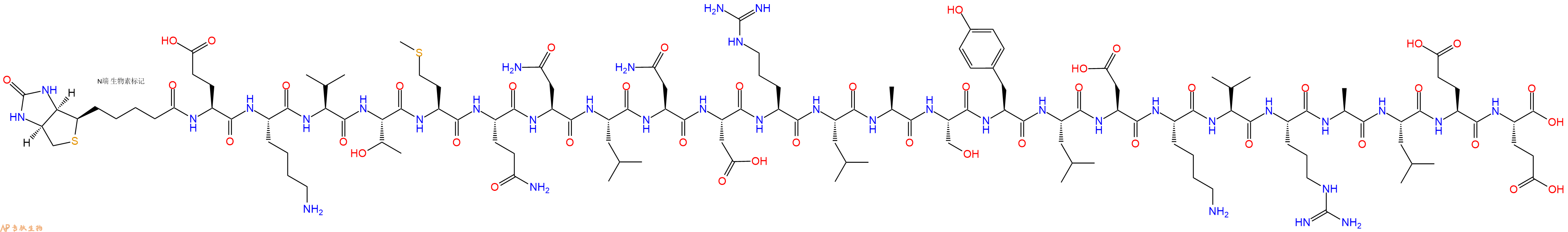 專肽生物產(chǎn)品Biotinyl-Glu-Lys-Val-Thr-Met-Gln-Asn-Leu-Asn-Asp-Arg-Leu-Ala-Ser-Tyr-Leu-Asp-Lys-Val-Arg-Ala-Leu-Glu-Glu-OH