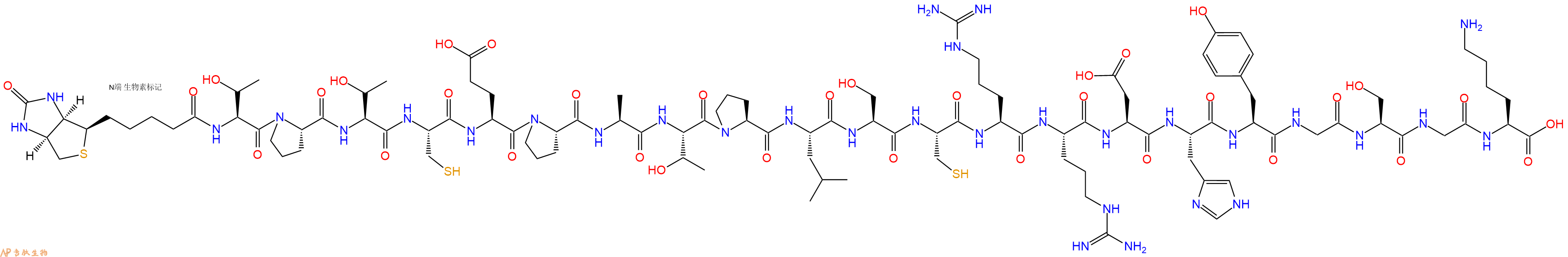 專肽生物產(chǎn)品Biotinyl-Thr-Pro-Thr-Cys-Glu-Pro-Ala-Thr-Pro-Leu-Ser-Cys-Arg-Arg-Asp-His-Tyr-Gly-Ser-Gly-Lys-OH