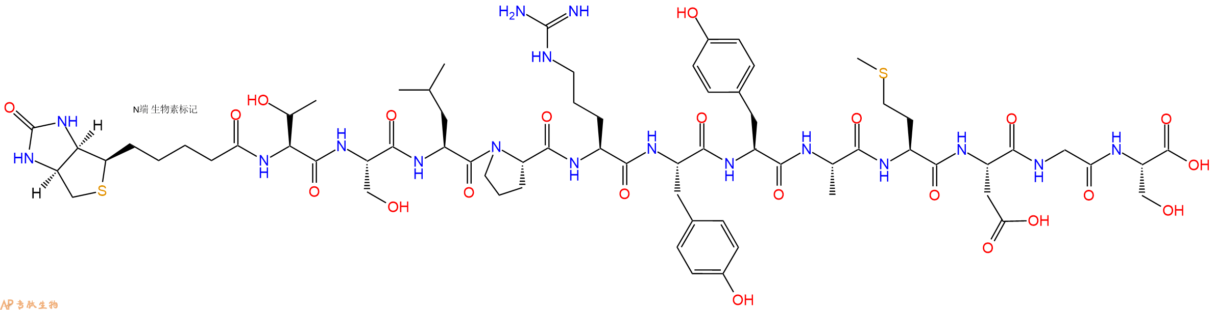 專肽生物產(chǎn)品Biotinyl-Thr-Ser-Leu-Pro-Arg-Tyr-Tyr-Ala-Met-Asp-Gly-Ser-OH