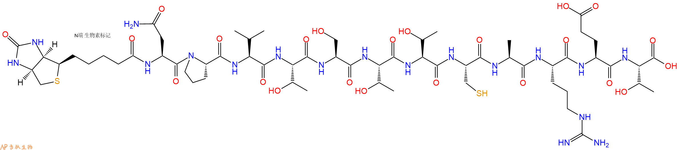 專肽生物產(chǎn)品Biotinyl-Asn-Pro-Val-Thr-Ser-Thr-Thr-Cys-Ala-Arg-Glu-Thr-OH