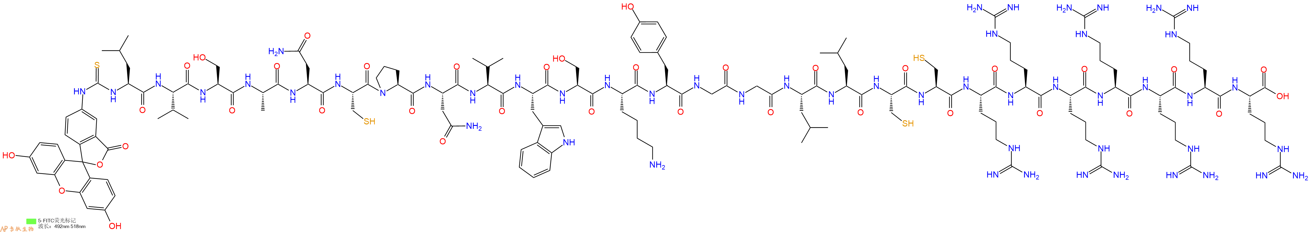 專肽生物產(chǎn)品5FITC-Leu-Val-Ser-Ala-Asn-Cys-Pro-Asn-Val-Trp-Ser-Lys-Tyr-Gly-Gly-Leu-Leu-Cys-Cys-Arg-Arg-Arg-Arg-Arg-Arg-Arg-OH