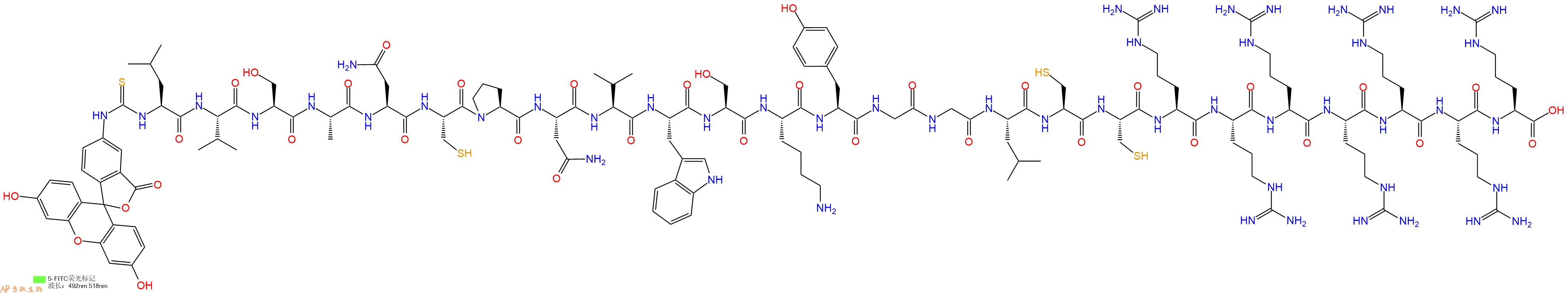 專肽生物產(chǎn)品5FITC-Leu-Val-Ser-Ala-Asn-Cys-Pro-Asn-Val-Trp-Ser-Lys-Tyr-Gly-Gly-Leu-Cys-Cys-Arg-Arg-Arg-Arg-Arg-Arg-Arg-OH