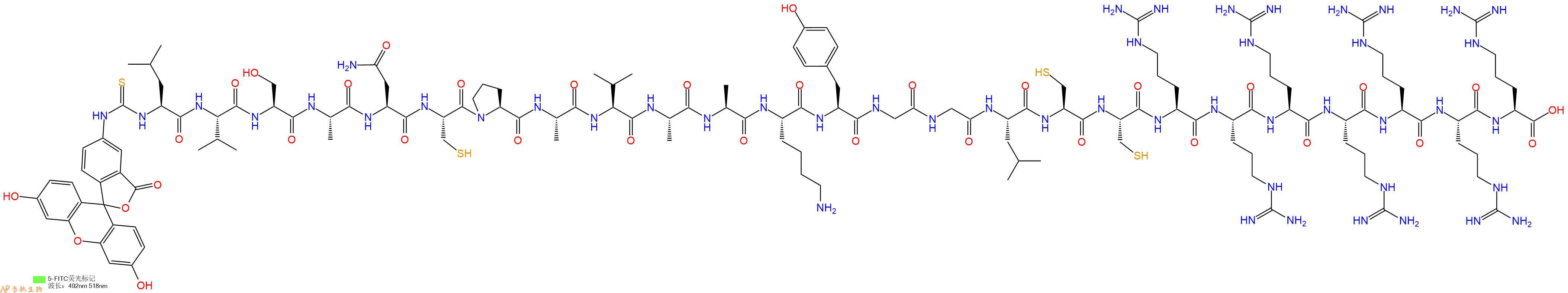 專肽生物產(chǎn)品5FITC-Leu-Val-Ser-Ala-Asn-Cys-Pro-Ala-Val-Ala-Ala-Lys-Tyr-Gly-Gly-Leu-Cys-Cys-Arg-Arg-Arg-Arg-Arg-Arg-Arg-OH