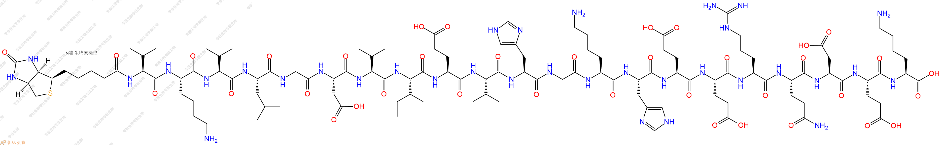 專肽生物產(chǎn)品Biotinyl-Val-Lys-Val-Leu-Gly-Asp-Val-Ile-Glu-Val-His-Gly-Lys-His-Glu-Glu-Arg-Gln-Asp-Glu-Lys-OH