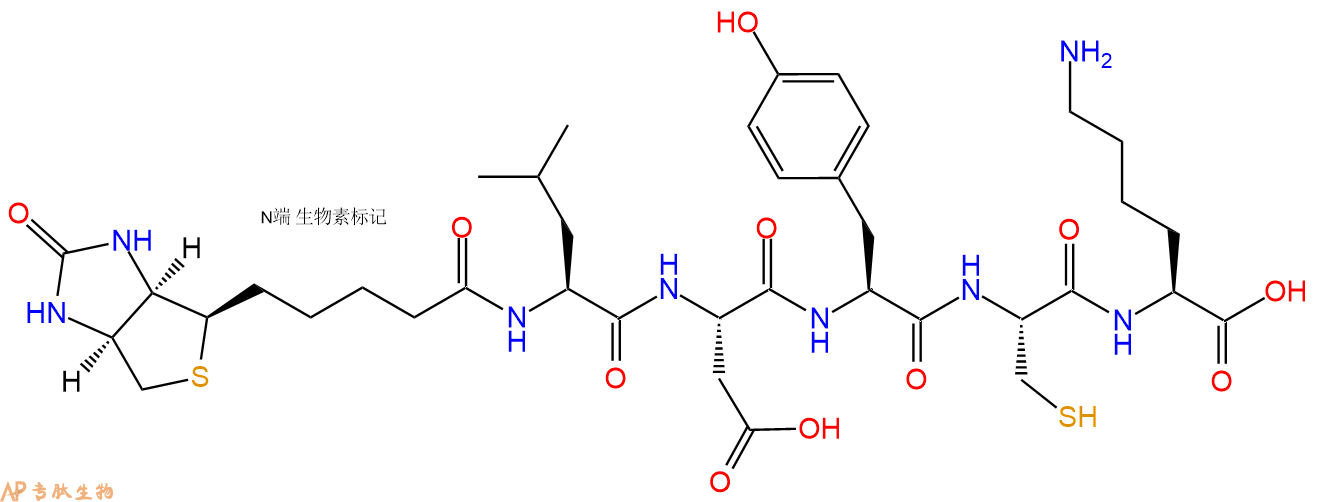 專肽生物產品Biotinyl-Leu-Asp-Tyr-Cys-Lys-OH