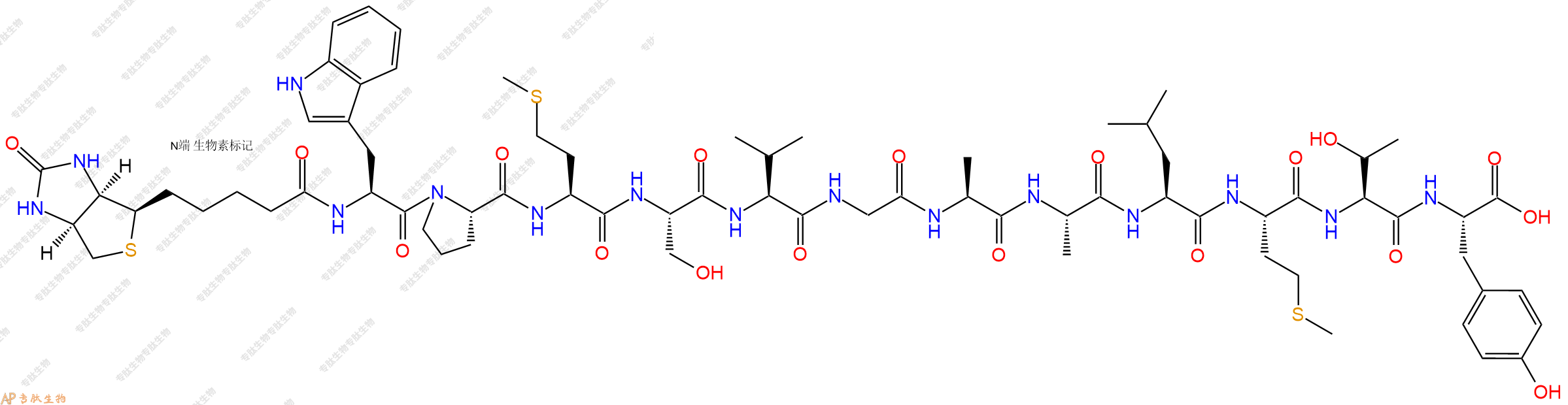 專肽生物產(chǎn)品Biotinyl-Trp-Pro-Met-Ser-Val-Gly-Ala-Ala-Leu-Met-Thr-Tyr-OH