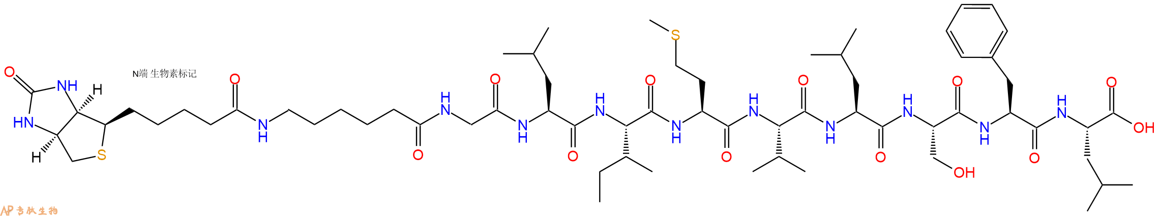 專肽生物產(chǎn)品Biotinyl-Ahx-Gly-Leu-Ile-Met-Val-Leu-Ser-Phe-Leu-OH